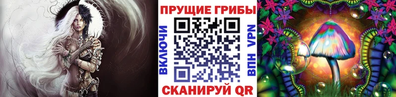 Псилоцибиновые грибы Cubensis  даркнет телеграм  Карпинск  цена наркотик 