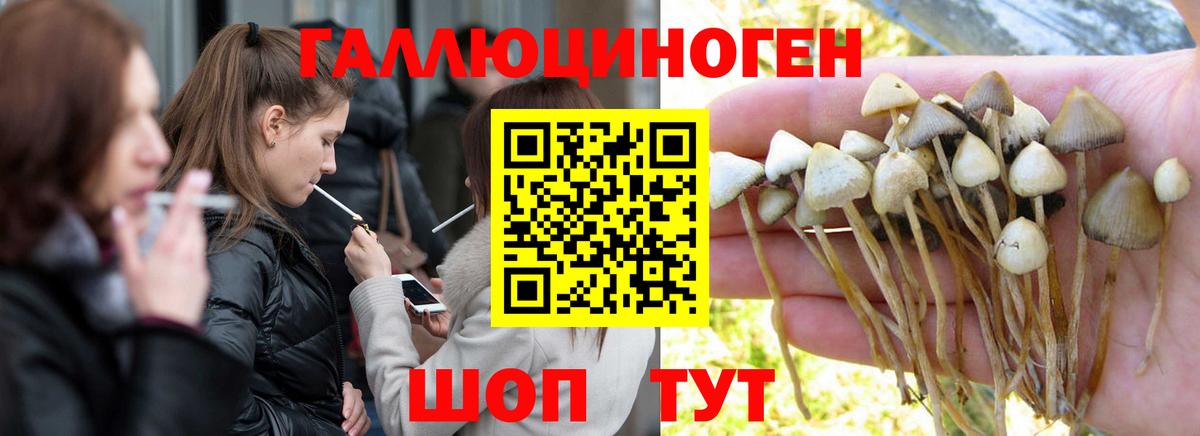 Галлюциногенные грибы прущие грибы Карпинск
