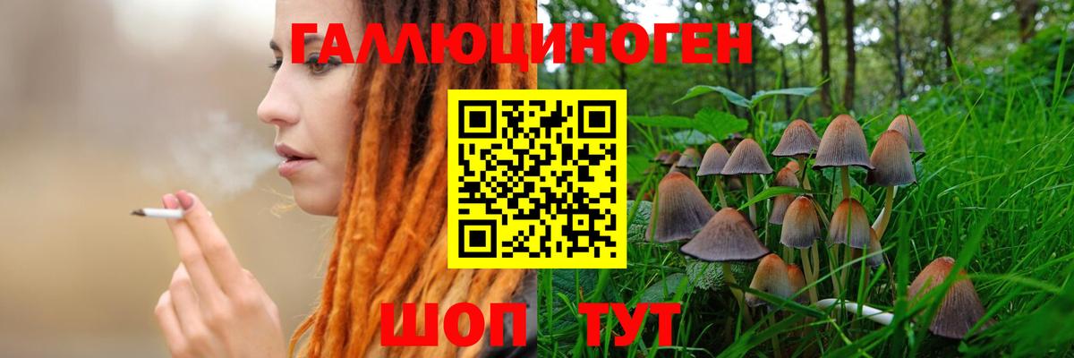 Псилоцибиновые грибы прущие грибы  Галлюциногенные грибы Psilocybine cubensis  Вход с VPN  Карпинск 